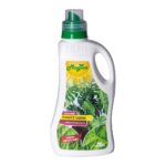 Concime liquido piante verdi