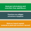 Concime piante verdi liquido