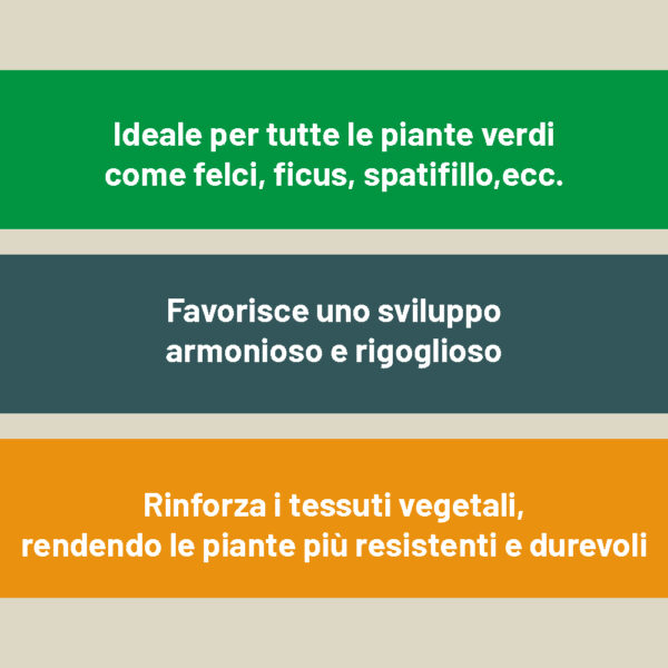 Concime piante verdi liquido