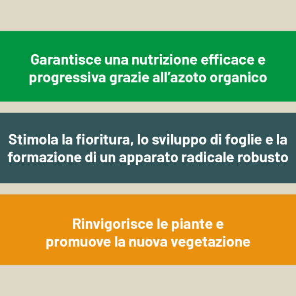 concime sangue di bue concime sangue di bue