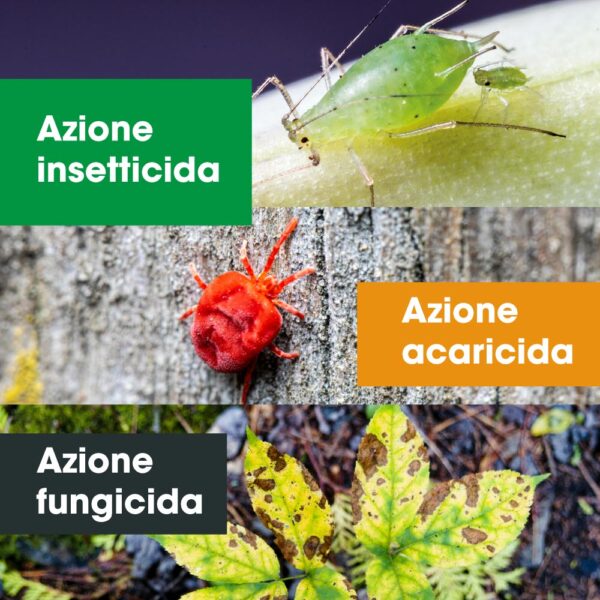 schede-prodotto-amazon-ortica-funzione Estratto di ortica concentrato