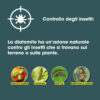 Diatomite Corroborante